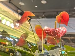 -川人百味(金安中央大街店)