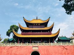 -巴陵全鱼席(湖南老字号汴河街店 )