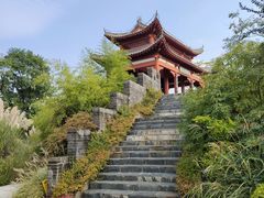 -武汉园博园(武汉自然博物馆)
