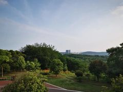 -镇江市南山风景名胜区竹林景区