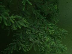 -艾溪湖湿地公园