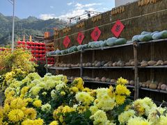 -新安江山水画廊风景区