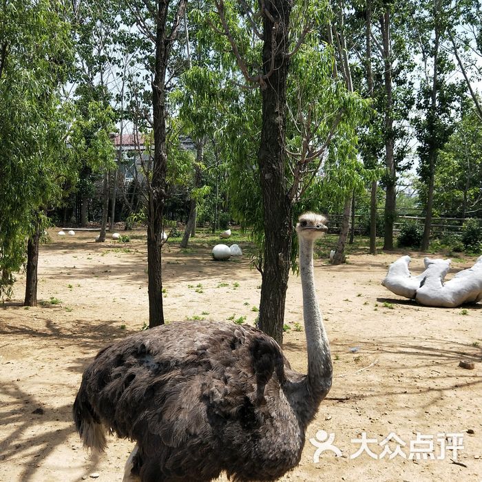 大連森林動物園