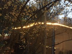 -凤来栖·净庭院·火锅(欧尚店)