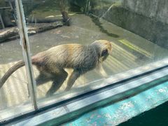-宁波野生动物园