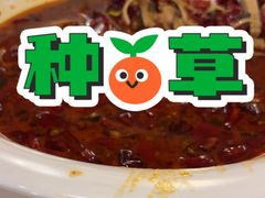 -付掌柜在成都·热炒砂锅集(金禾店)