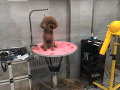 -宠福鑫康馨动物医院·骨科·眼科