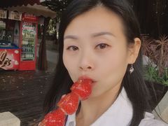 -胡里山炮台