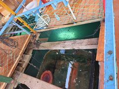-蓝湾碧波·老字号·疍家非遗海上餐厅