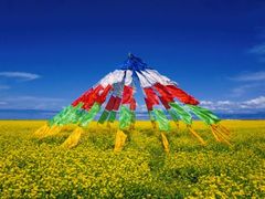 -青海湖国家重点风景名胜区