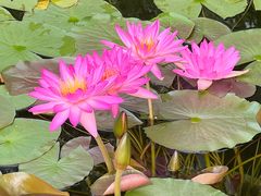 -国家植物园南园