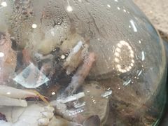 -蟹谢蒸鲜自助餐厅