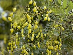 -南京市无想山景区