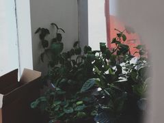 -芝语甜品