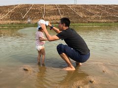 -迪茵湖田家舍生态农场