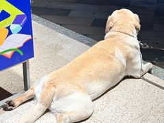 -冠雄先生烤冷面(熙街旗舰店)