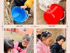-井德幼儿园(泰达园)