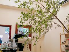 -SAFARI COFFEE