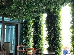 -顶层酒吧ROOF(上海艾迪逊酒店)
