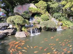 -江心屿景区
