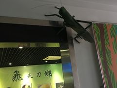 -上海昆虫博物馆