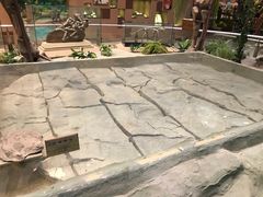 -陕西自然博物馆