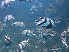 -海合安青岛极地海洋公园