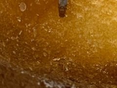-爸爸糖吐司面包(悠唐购物中心店)