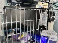 -半岛宠物医院24小时(科华中路店)