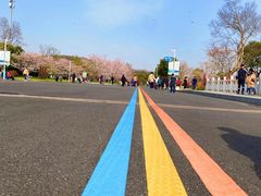 -羊山湖公园