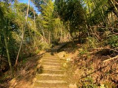 -长沙黑麋峰国家森林公园
