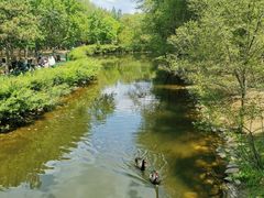 -长白岛森林公园