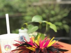 -大王油茶(磁器口店)
