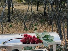 -森林公园(尖草坪区)