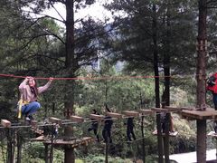 -梦幻奥陶纪景区