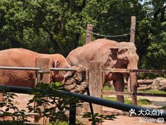 -上海动物园(地铁站)