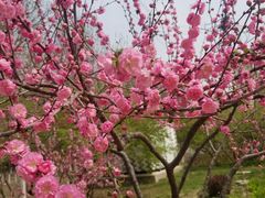 -大兴滨河森林公园