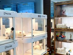 -翊宠yipet猫狗购宠庄园犬舍•猫舍