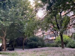 -欣康盲人按摩(西里小区欣里园店)