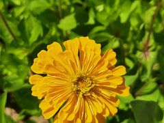 -杜氏旅游度假区