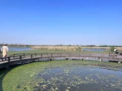 -宁波杭州湾国家湿地公园