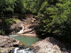 -广州白江湖森林公园