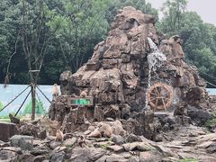 -合肥野生动物园