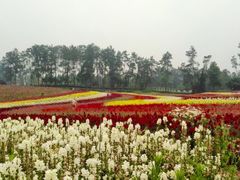 景点-保利石象湖景区