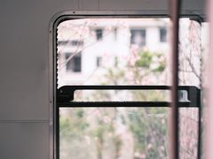 -小南山公园
