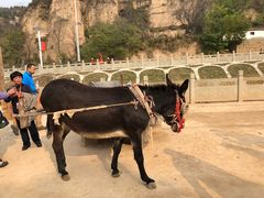-梁家河村红色旅游区