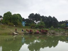 -铁山坪森林公园