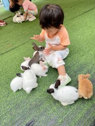 -萌宠亲子动物乐园(槐房万达店)