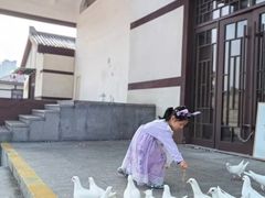 -西安汉城湖景区