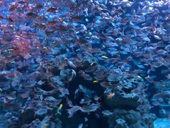 -成都浩海立方海洋公园